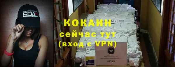 трава Аркадак