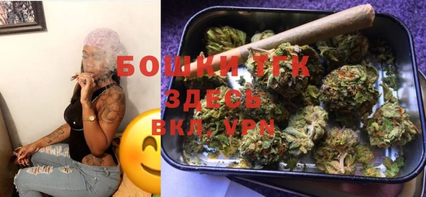 стаф Арсеньев
