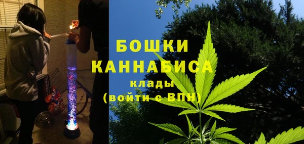 стаф Арсеньев