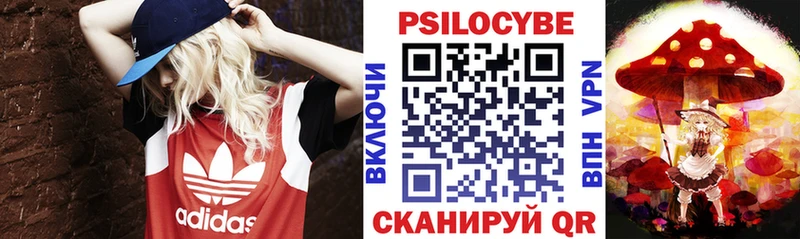 Купить  Нолинск  Галлюциногенные грибы мицелий 